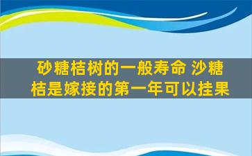 砂糖桔树的一般寿命 沙糖桔是嫁接的第一年可以挂果